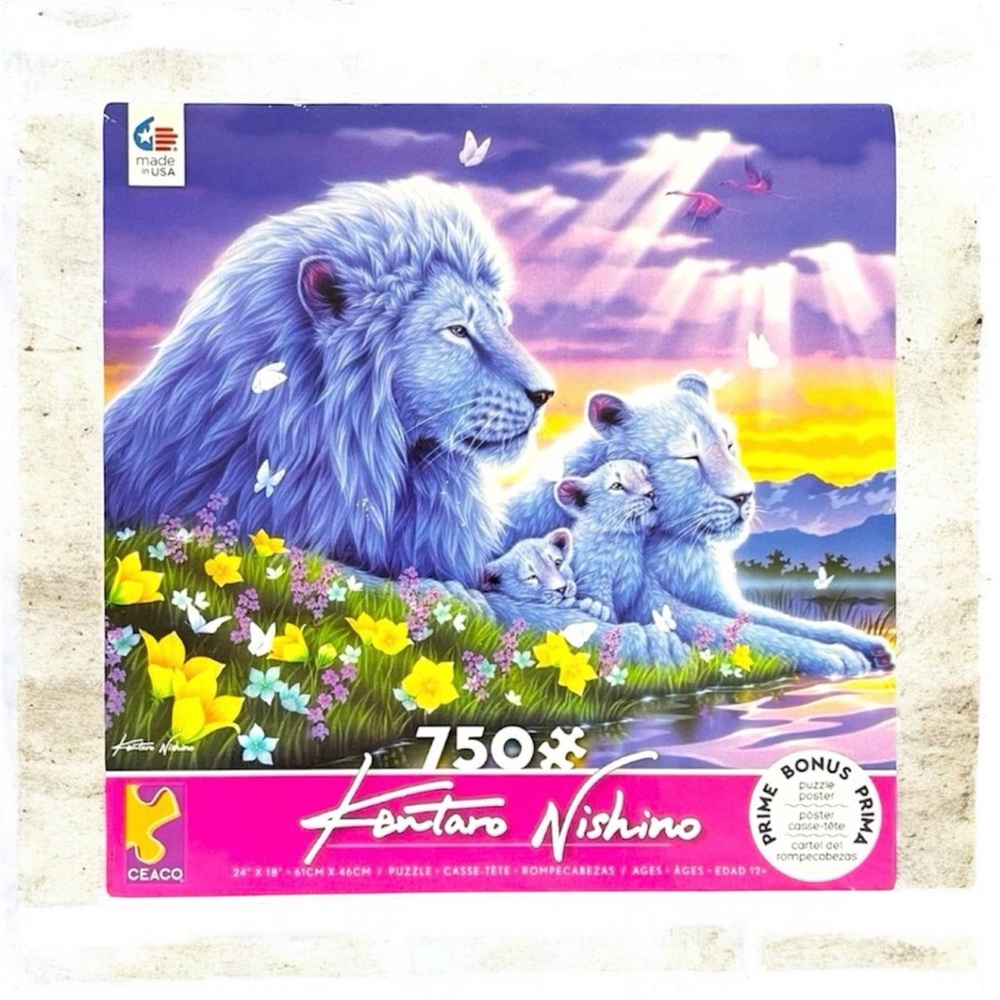 🧩 Ceaco Kentaro Nishino 750 PCS Puzzle